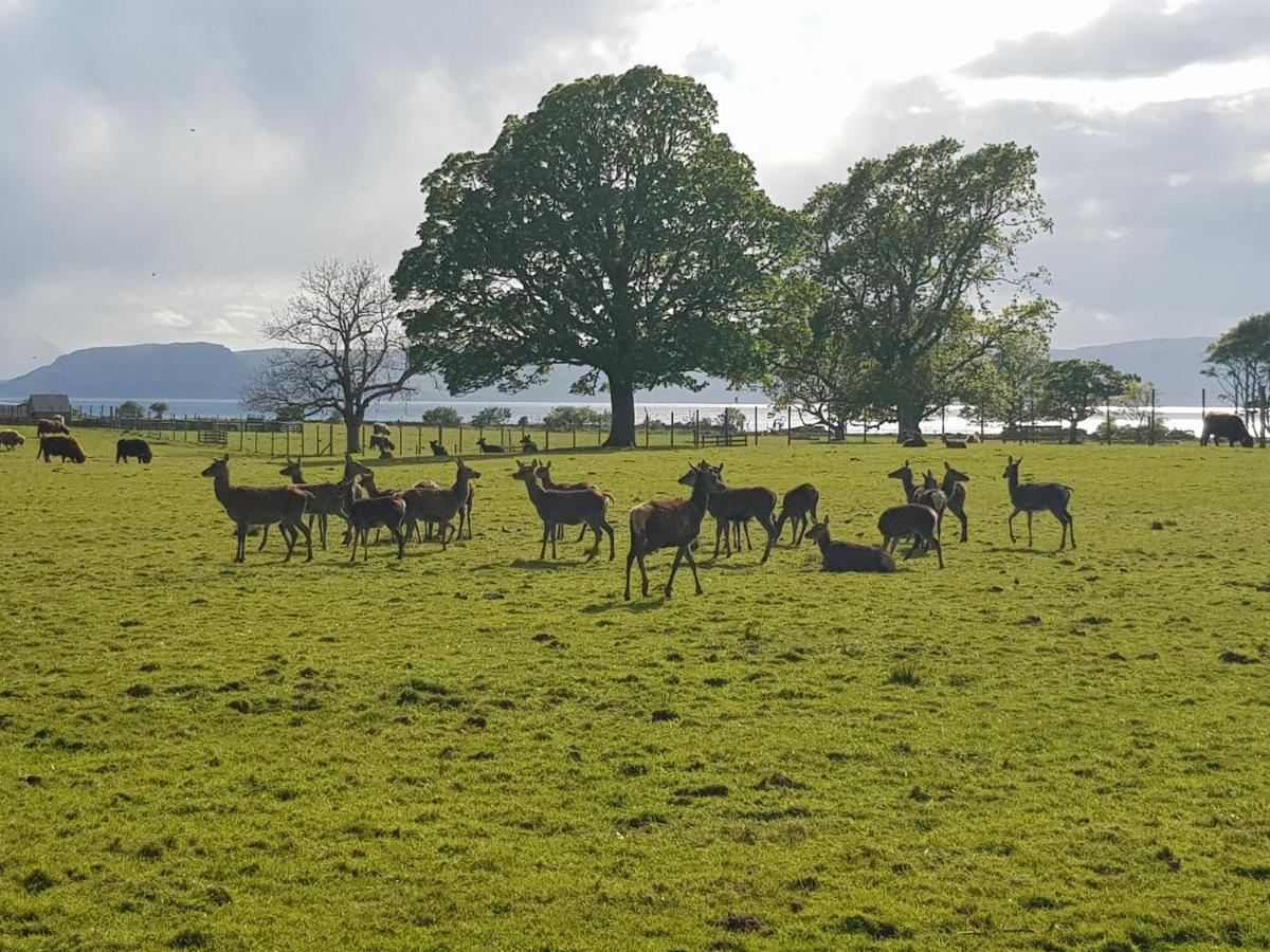 Applecross B&B & Cabins, 90 Mins From Skye Bridge, Nc500 Exterior photo